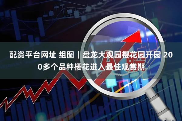 配资平台网址 组图｜盘龙大观园樱花园开园 200多个品种樱花进入最佳观赏期